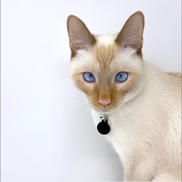 Hey I’m Kenzie! Be sure to tune into my LIVE shows weekdays at 7:30am CT! 🩷 - Picture 9 of 16